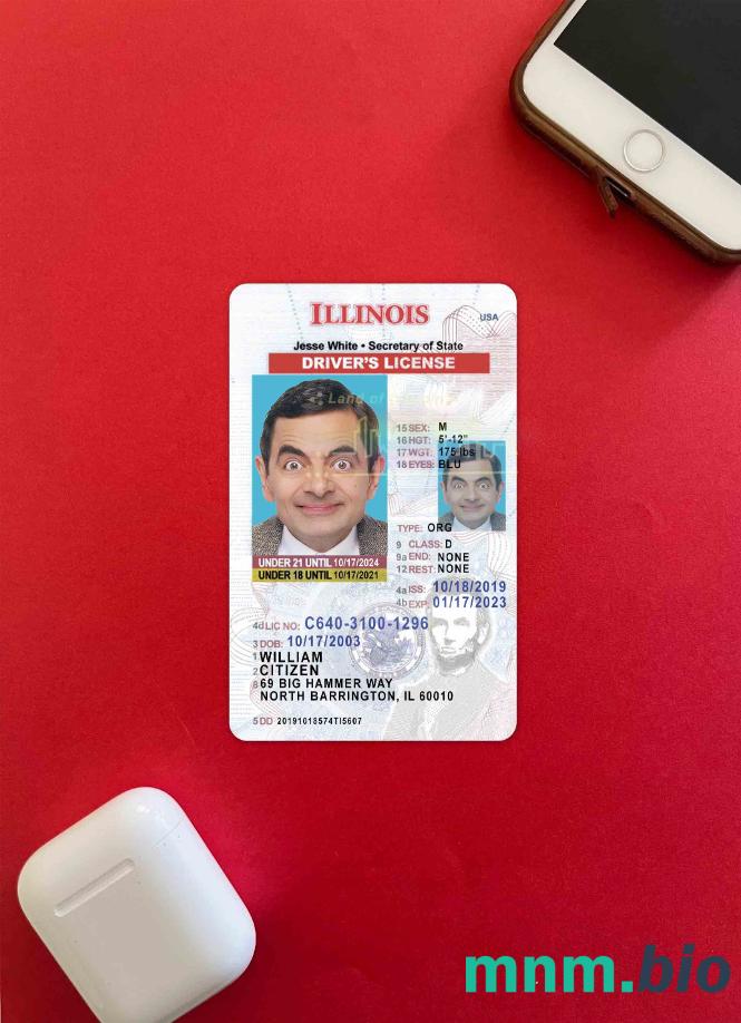 USA Illinois prawo jazdy poniżej 21 lat photolook, w pełni edytowalny